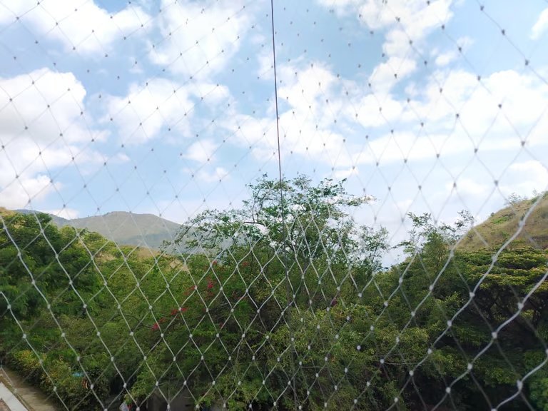 Vista cielo